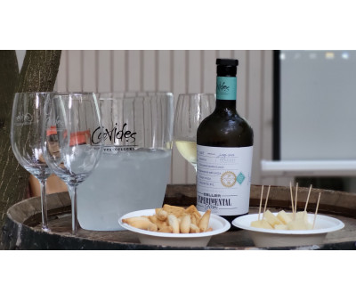 Presentamos el nou vi blanc Celler Experimental